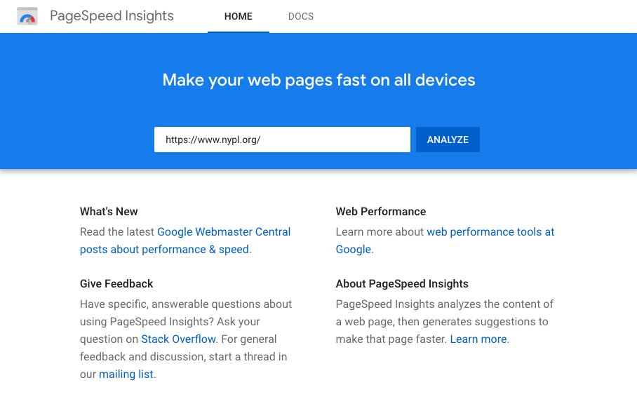 Screenshot - Google PageSpeed Insights Home Screen